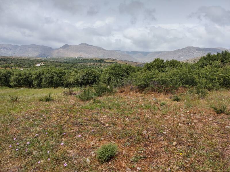 Scenery on the way from Sitia into the mountains at the eastern tip of Crete.