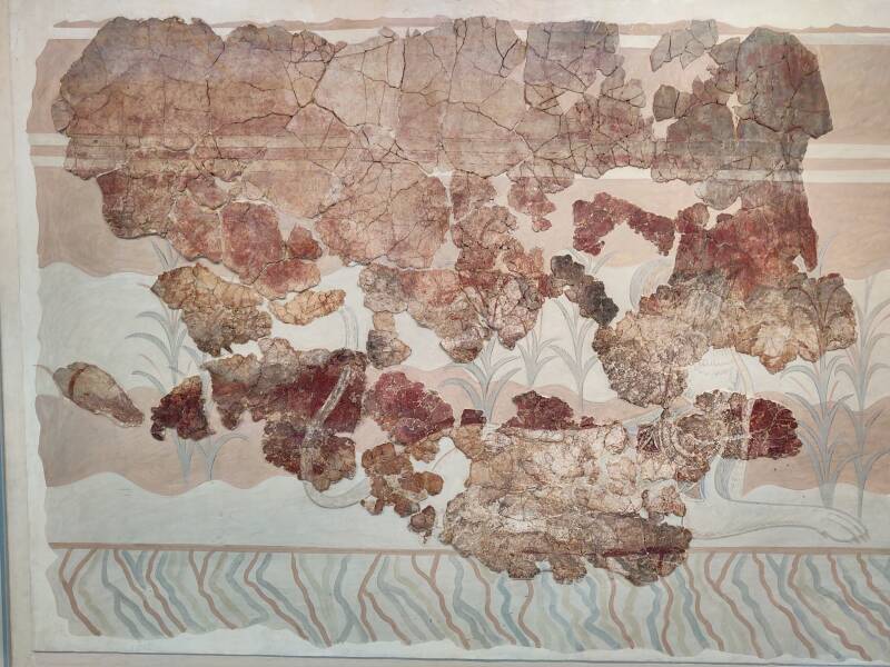Fragmentary fresco from the Throne Room at Knossos.