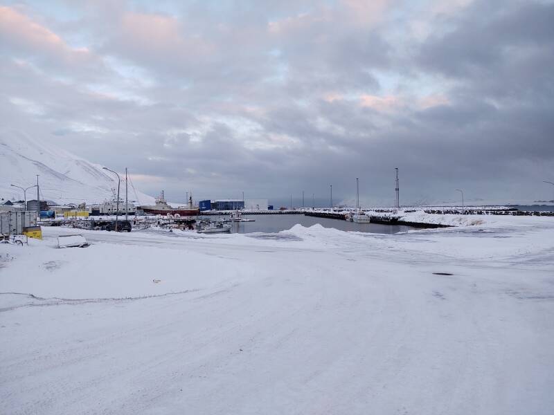 Dalvík port.