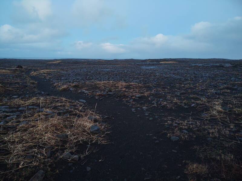 Initial light near Sandvík beach and Hafnarberg sea cliffs.