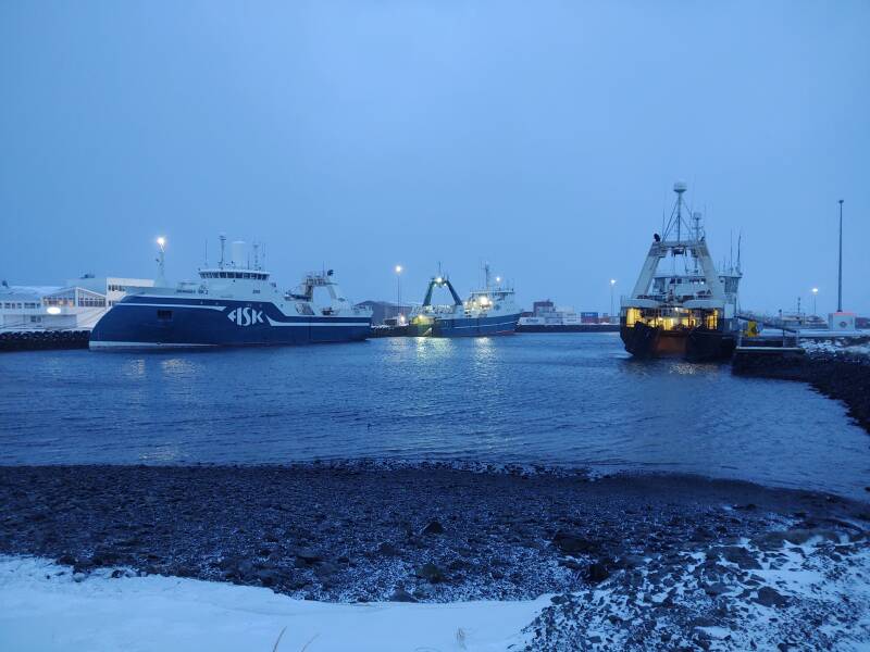 Fishing ships at Sauðárkrókur's port.