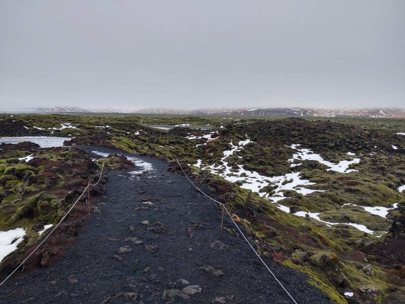 Moss and lichen along the Ring Road in Iceland.