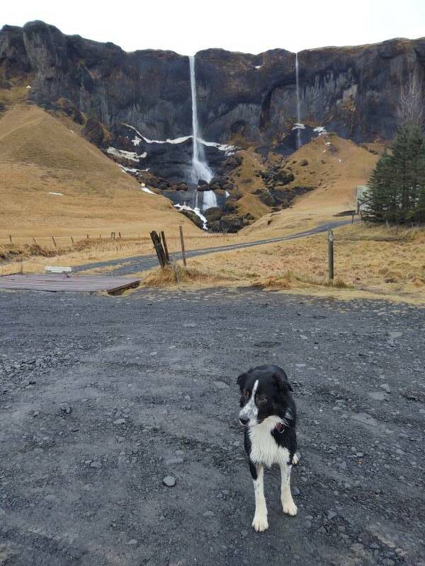 Waterfalls and basalt formations along the Ring Road in Iceland.