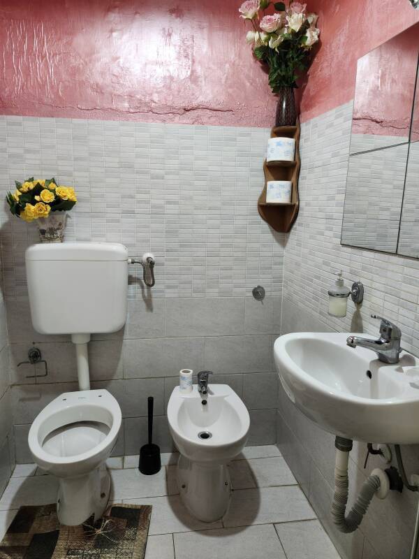 Bathroom: toilet, bidet, and sink, a shelf in the corner with more toilet paper.