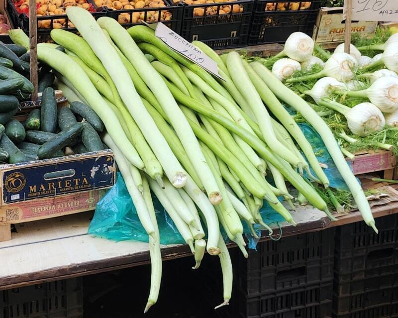 Large zucchini.