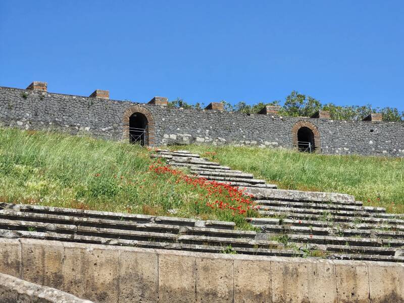 Red poppies in the amphitheatre at Pompeii.