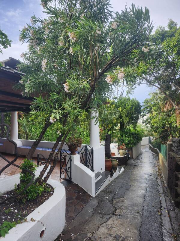 Lane past Pedra Residence in the sun after the storm ended.