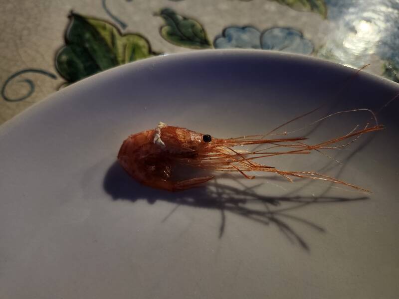 Shrimp and pasta.