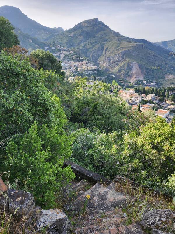 Overgrown stairs up a steep slope.