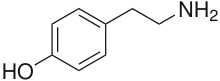 Tyramine molecule.