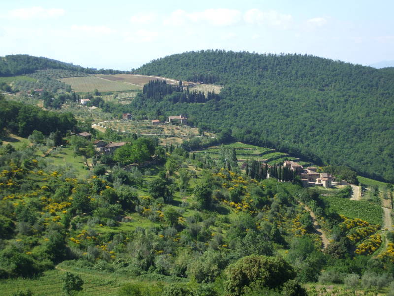 Chianti countryside.