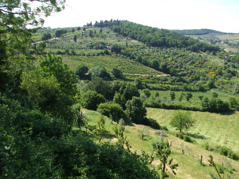 Chianti countryside.