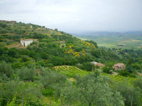 Hill town farm in Umbria.