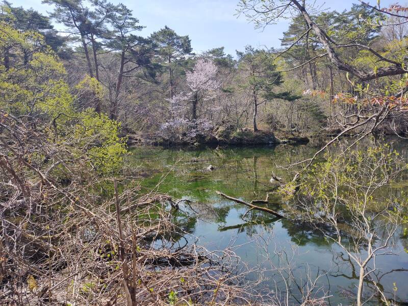 Small pond among Goshi-ki-numa or the Five-Colored Lakes.