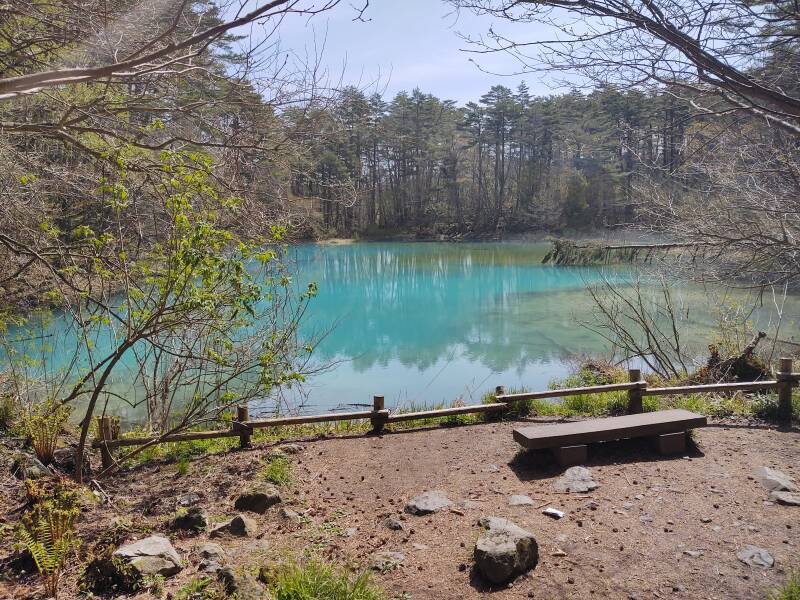 Ao-numa Pond among Goshi-ki-numa or the Five-Colored Lakes.
