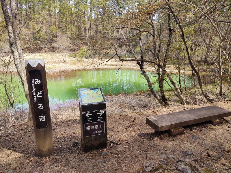 Midoro-numa Pond among Goshi-ki-numa or the Five-Colored Lakes.