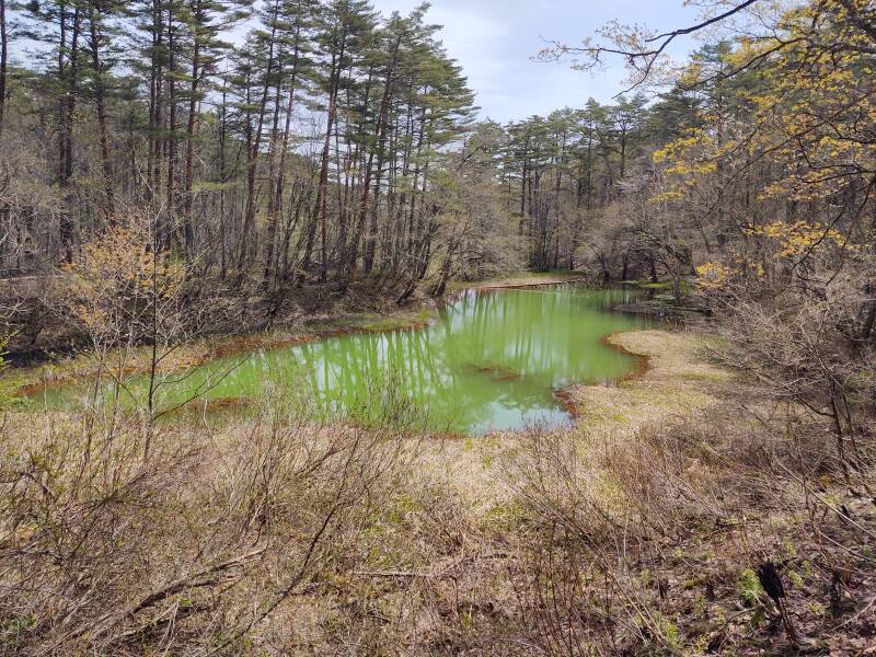 Aka-numa Pond among Goshi-ki-numa or the Five-Colored Lakes.