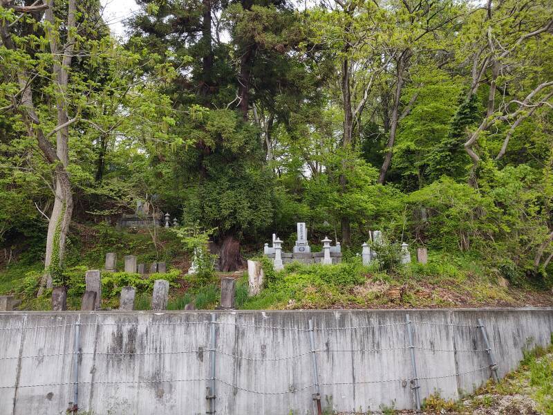 Older section of modern cemetery on lower slope of hill with kofun in Aizu-Wakamatsu.