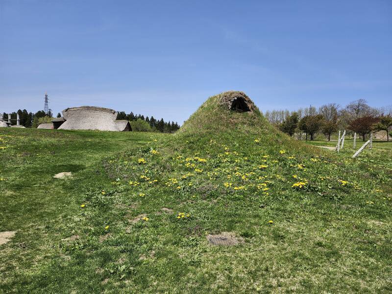 Reconstructed dwelling built from wood poles and thatch bundles, with turf growing over it.