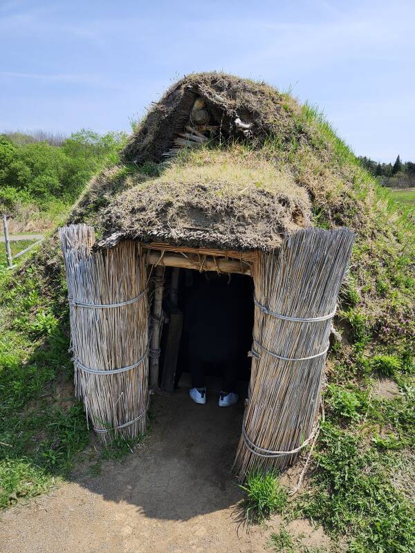 Entryway to dwelling with turf growing over it.