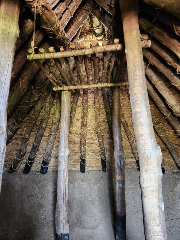 Interior of dwelling with turf growing over it.