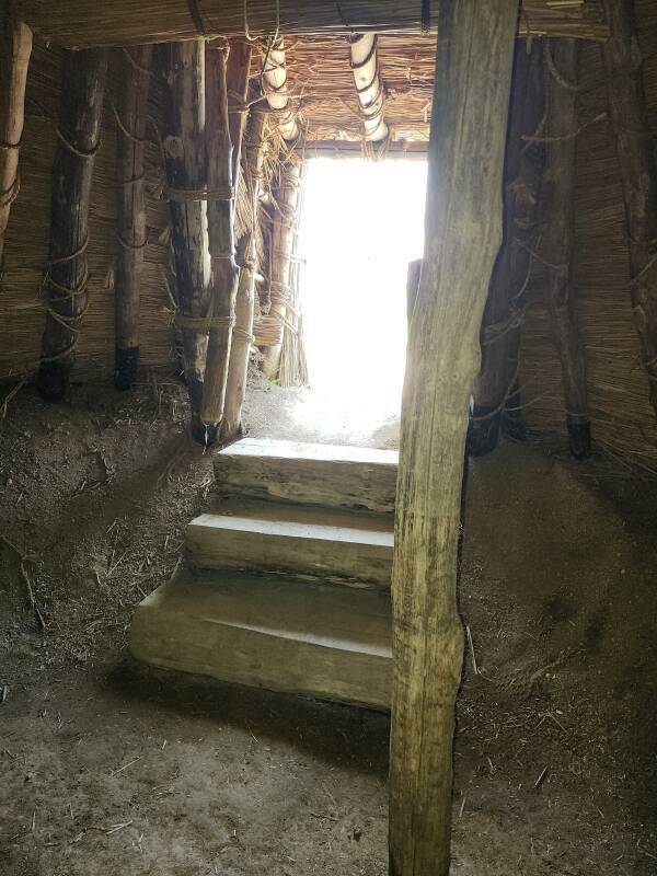 View out through entryway of dwelling with turf growing over it.