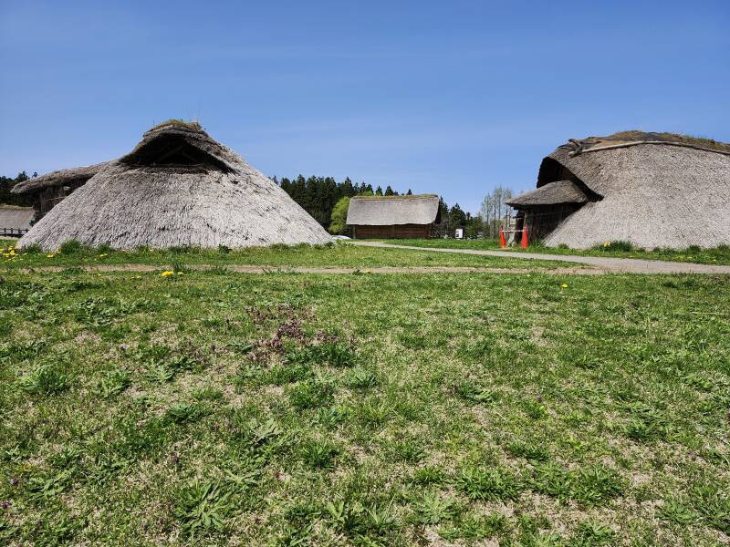 Large structures covered with thatch.