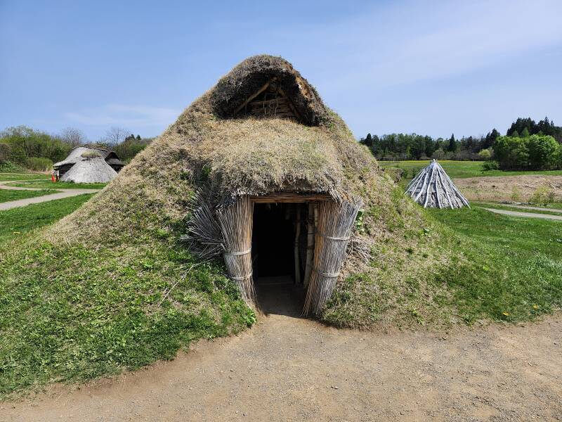 Thatch-covered dwelling with turf growing over it.