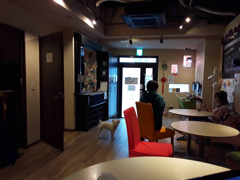 Fukuoka Hana Hostel.