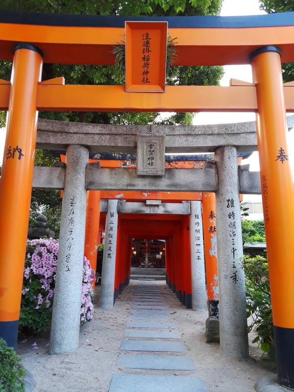 Several torii at Kushida Shrine in Fukuoka.