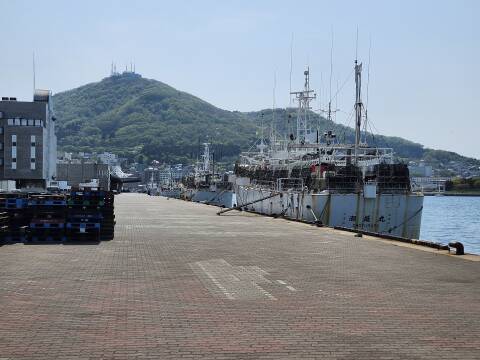 Fishing ships tied up at Hakodate City waterfront, with Mount Hakodate looming in the background.