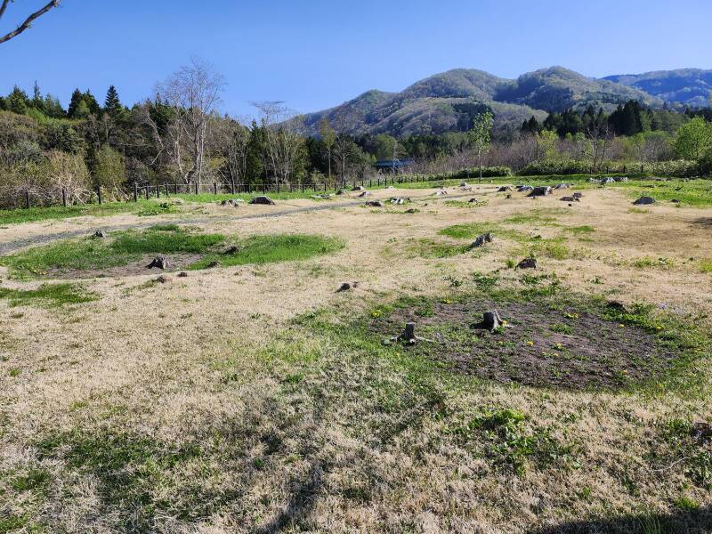 Visible remains of Jōmon culture pit dwellings at Kakinoshima Site.