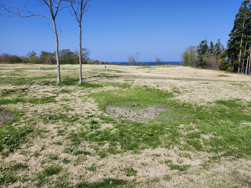 Visible remains of Jōmon culture pit dwellings at Kakinoshima Site.