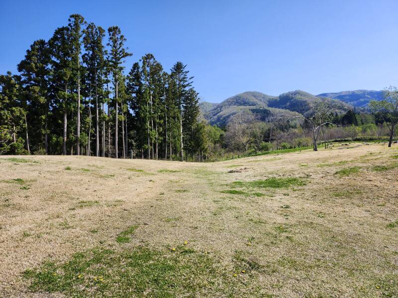 'Ritual road' leading into the ceremonial area of the Kakinoshima Site.