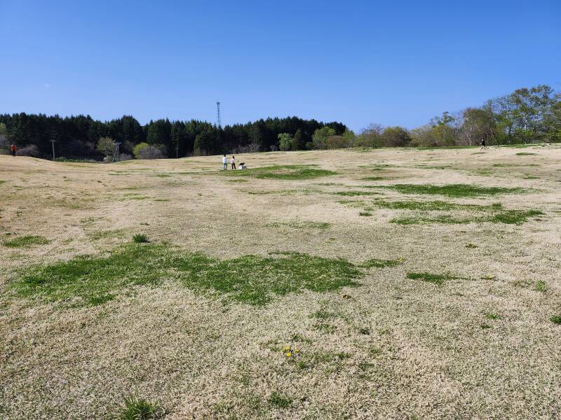 View from the 'ritual road' toward the hillock at the center of the ceremonial area of the Kakinoshima Site.