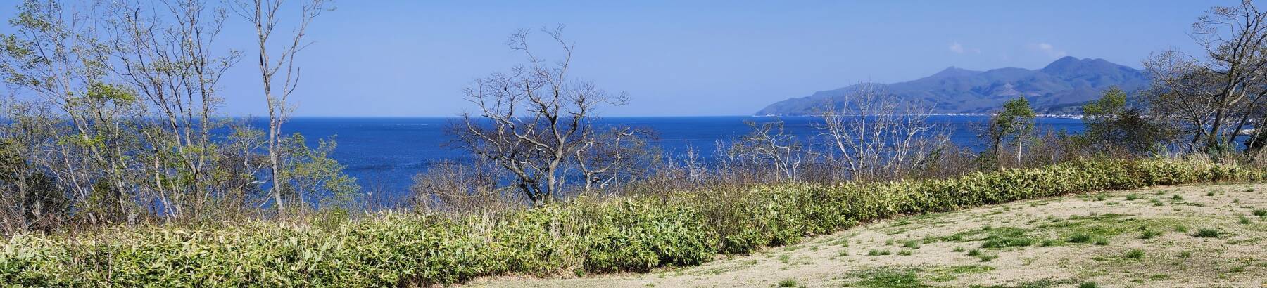 View over the Pacific Ocean from the edge of the Kakinoshima Site.