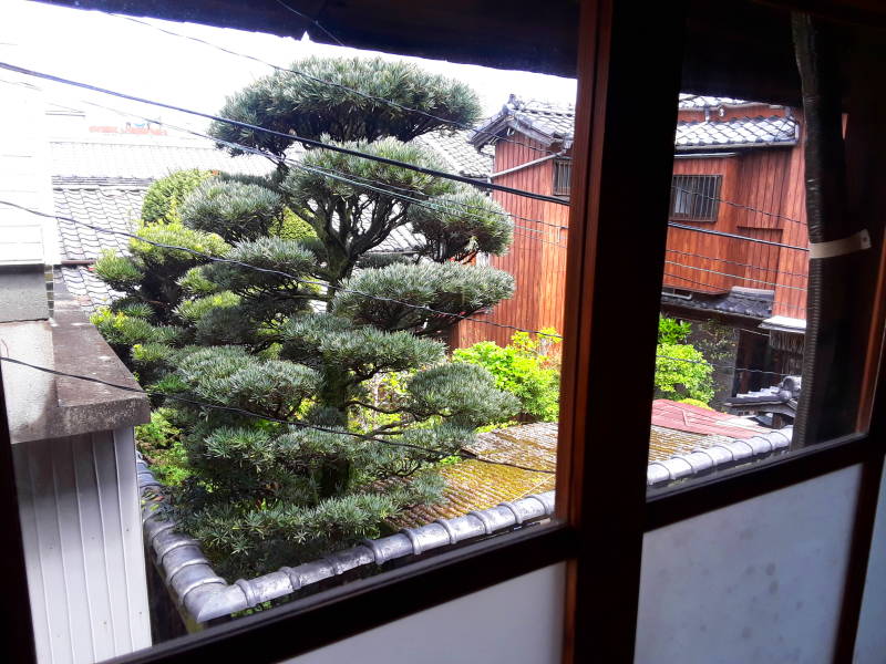 Views of mountains and the garden at the ryokan.