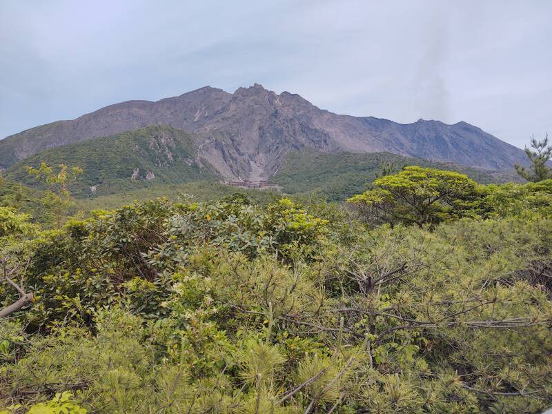 View up Sakurajima volcano from the Yunohira observation deck halfway up.