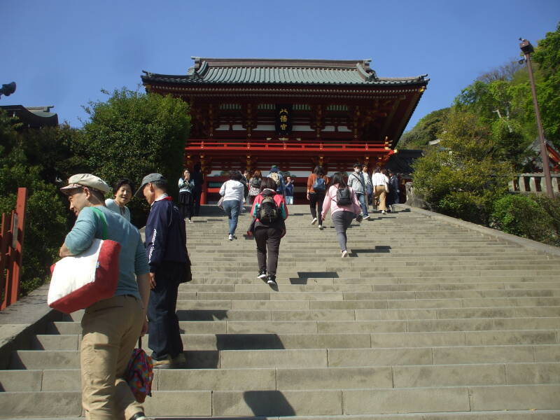 Climbing the stairs to the primary shrine at Tsurugaoka Hachiman-Gū in Kamakura.