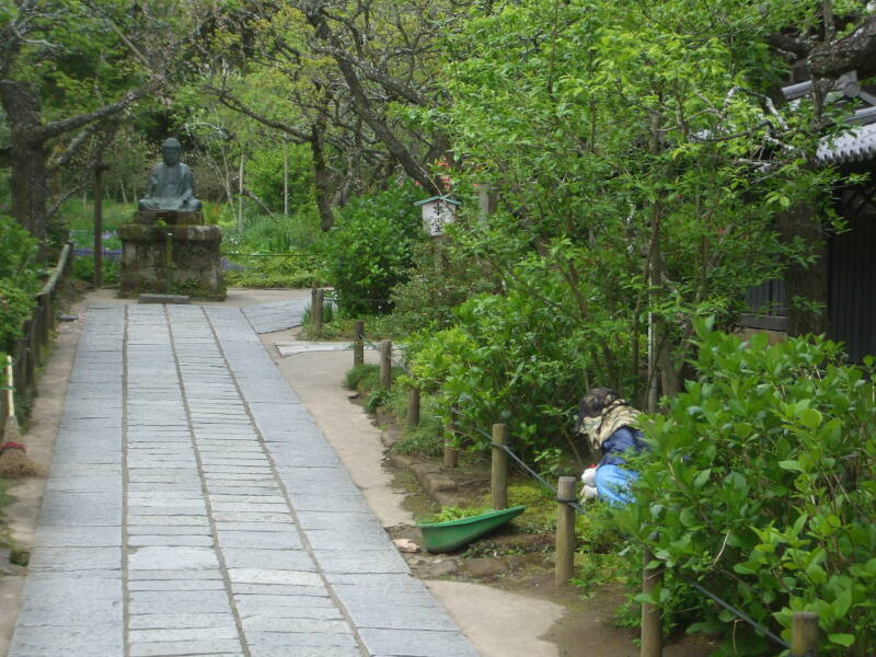 Tōkei-ji Buddhist temple, former nunnery, in Yamanouchi near Kamakura.