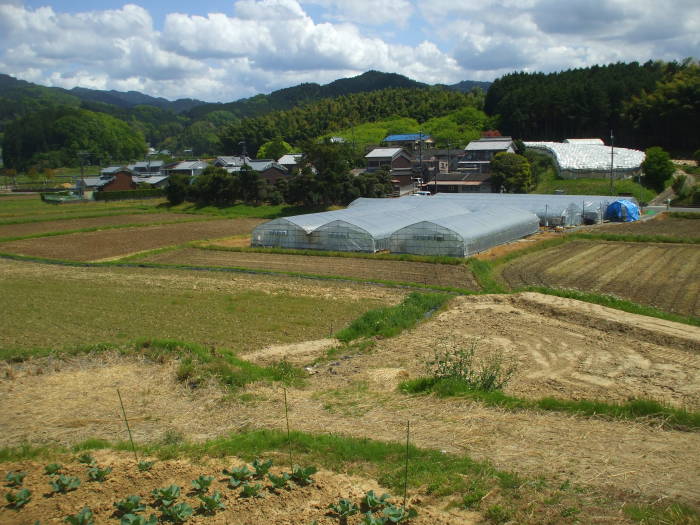 Small farms near Asuka, Japan