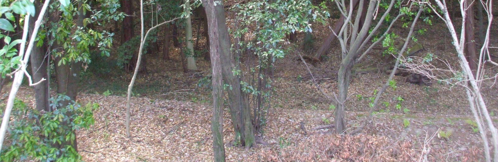 Kofun of Empress Kōken near Nara, Japan