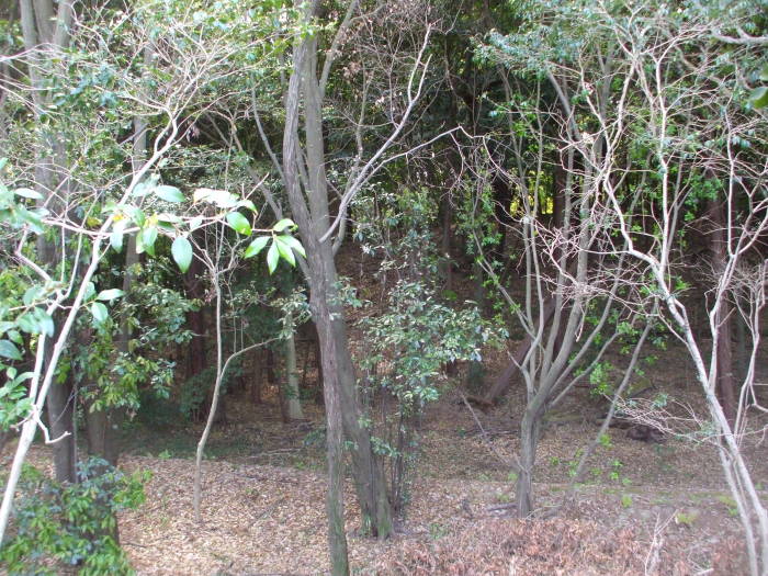 Kofun of Empress Kōken, also known as Empress Shōtoku, near Nara, Japan