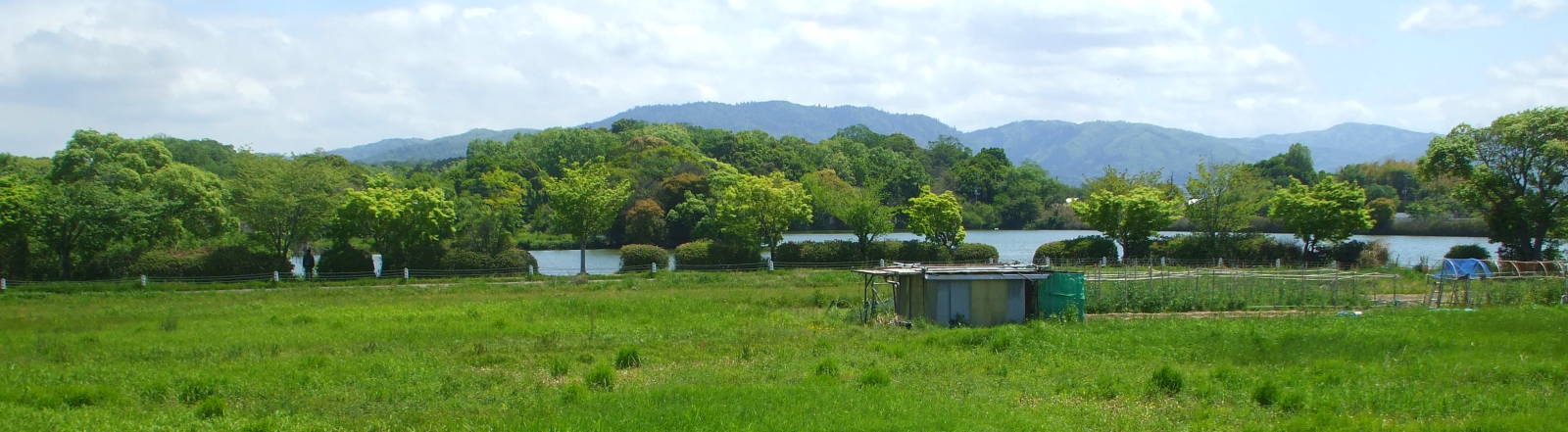 Farmland, ponds, and hills around Nara, Japan