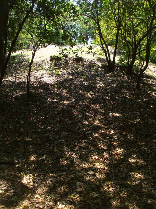 Gourdsan Tomb, Saki Gouran, Saki Gouzanyama, near Nara, Japan