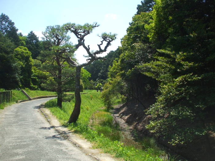 Kofun or mausoleum of Emperor Seimu near Nara, Japan