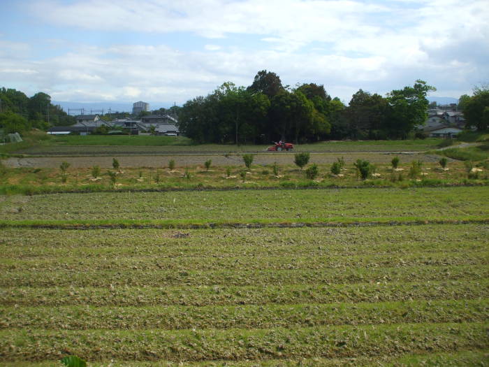 Kofun of Emperor Suinin near Nara, Japan