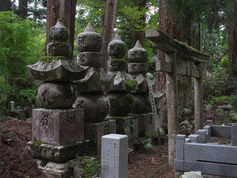 Buddhist tomb markers in the enormous Okunoin cemetery at Kōya-san.