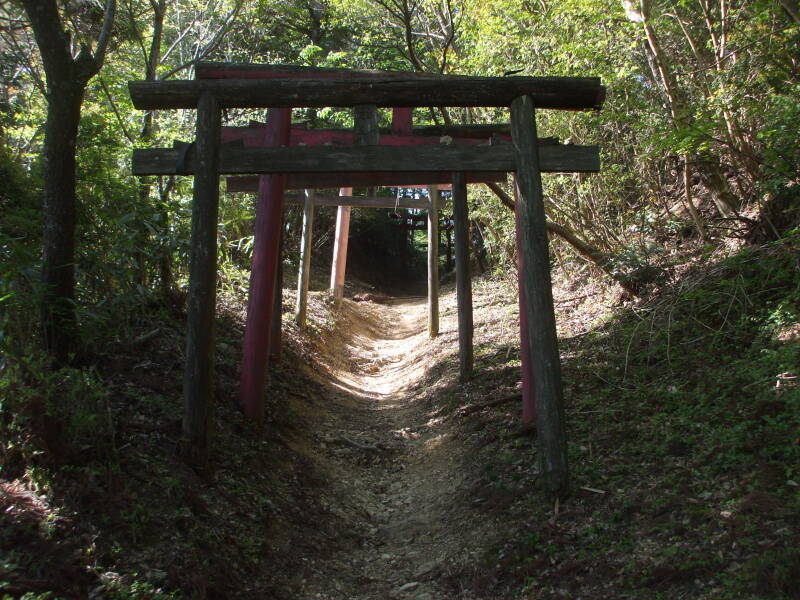Torii leading up the pilgrims' path around the west and north of Kōya-san.