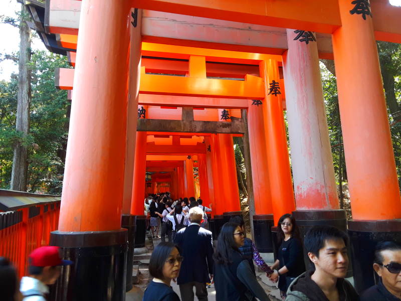 Start of the first path at Fushimi Inari-taisha shrine.